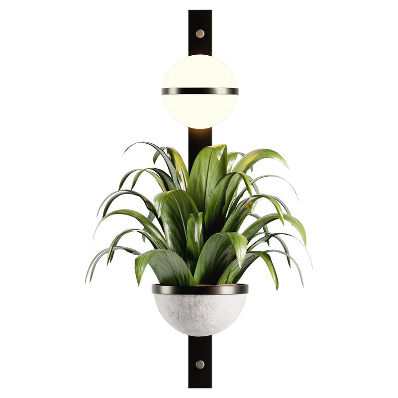 Indoorplants-Hanging set-68 - Image 4