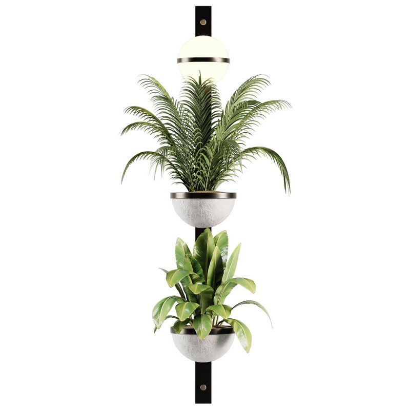 Indoorplants-Hanging set-68 - Image 5