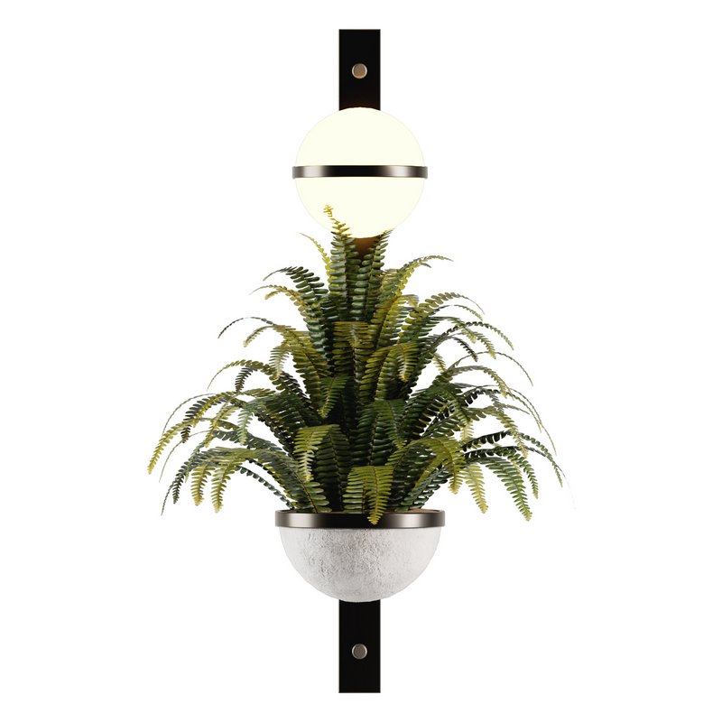 Indoorplants-Hanging set-68 - Image 6