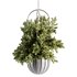 Indoorplants-Hanging set-69 - Thumbnail 3