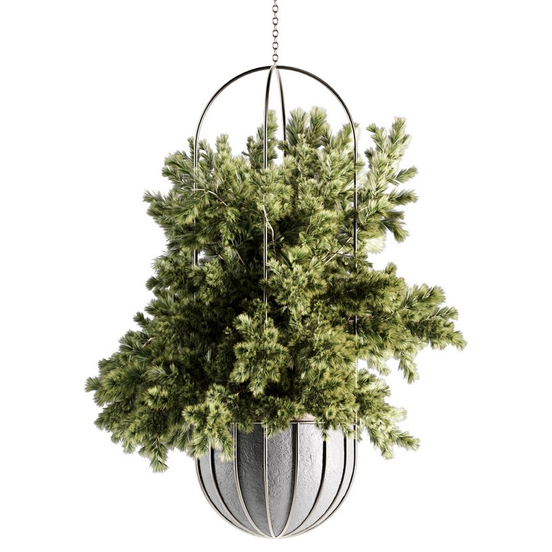 Indoorplants-Hanging set-69 - Image 3