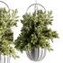 Indoorplants-Hanging set-69 - Thumbnail 1