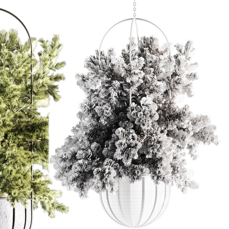 Indoorplants-Hanging set-69 - Image 2