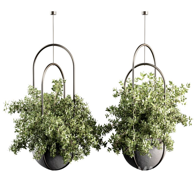 Indoorplants-Hanging set-70 - Image 2