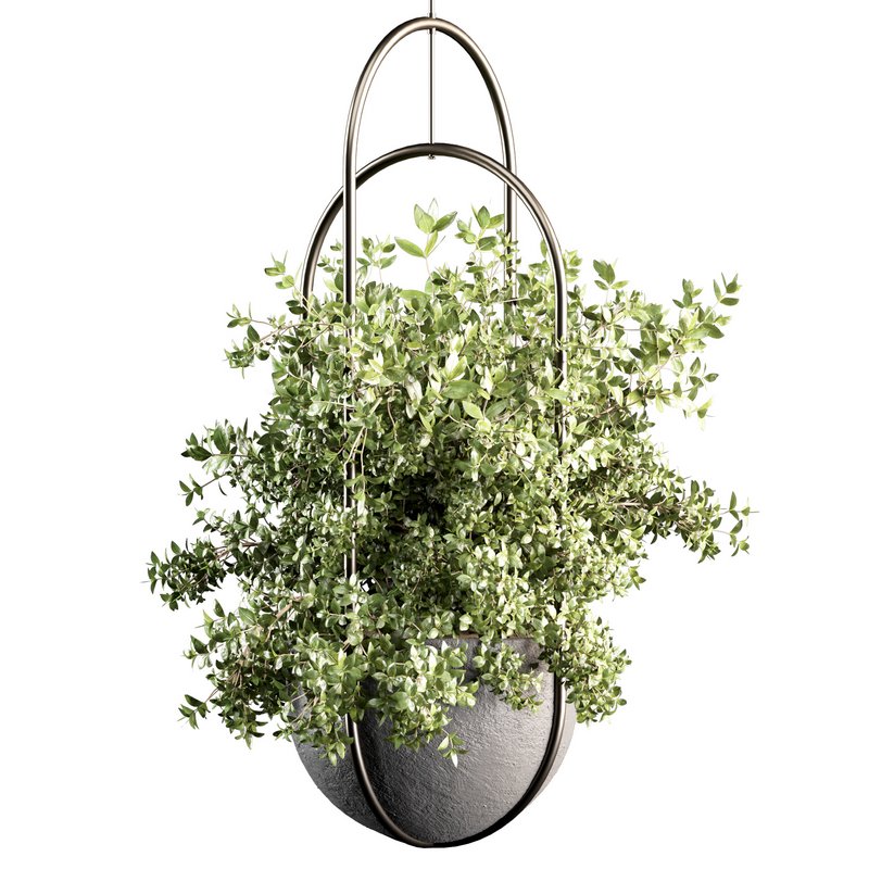 Indoorplants-Hanging set-70 - Image 1