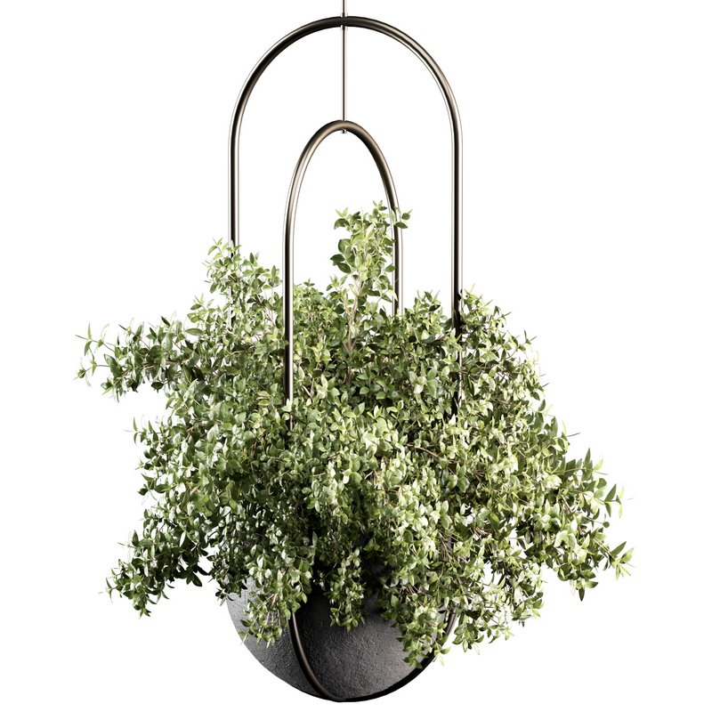Indoorplants-Hanging set-70 - Image 3