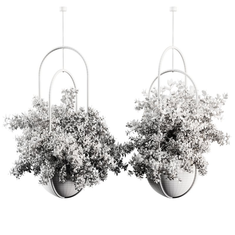 Indoorplants-Hanging set-70 - Image 4