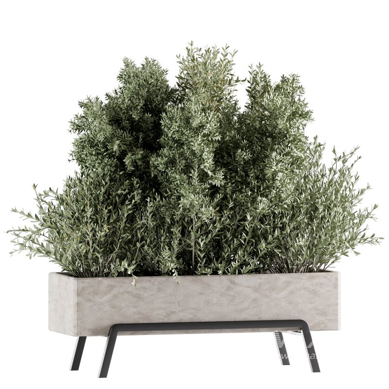 Indoorplants-set139 - Image 1