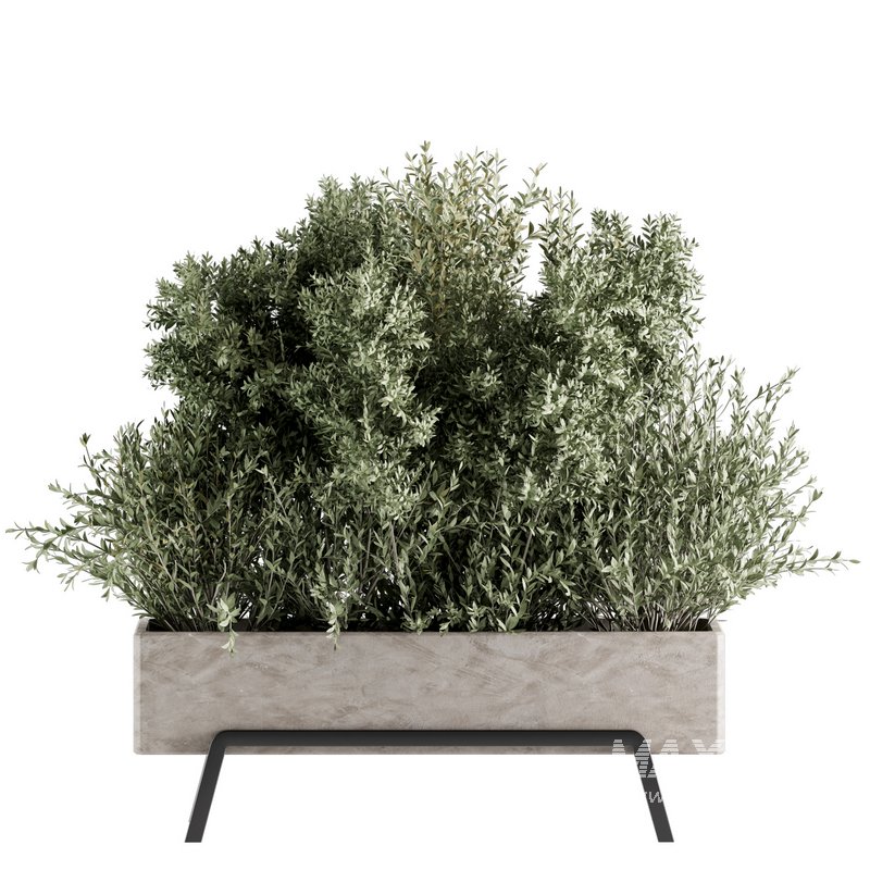 Indoorplants-set139 - Image 2