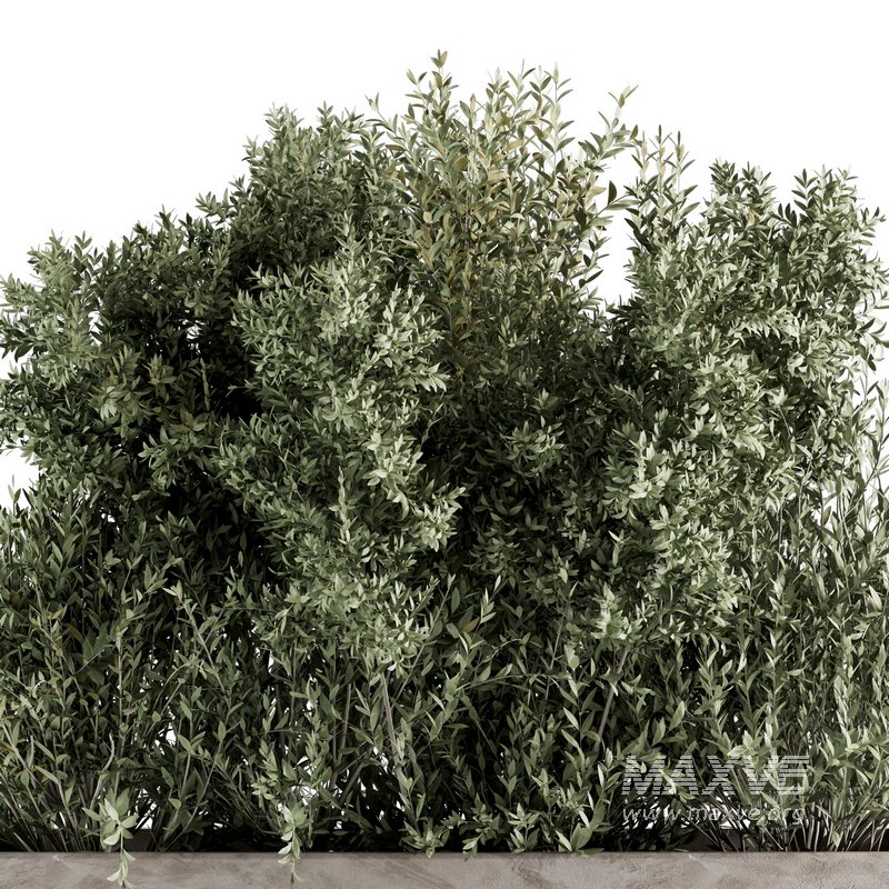 Indoorplants-set139 - Image 3