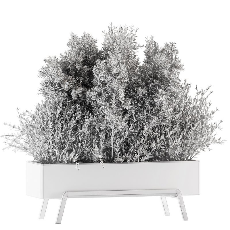 Indoorplants-set139 - Image 5