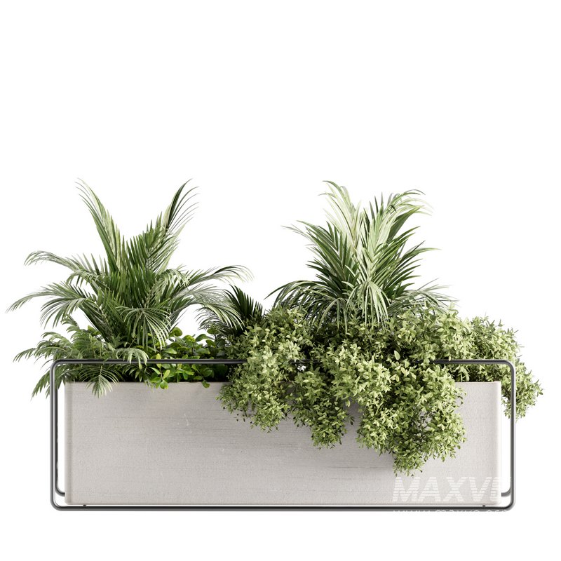 Indoorplants-set140 - Image 4