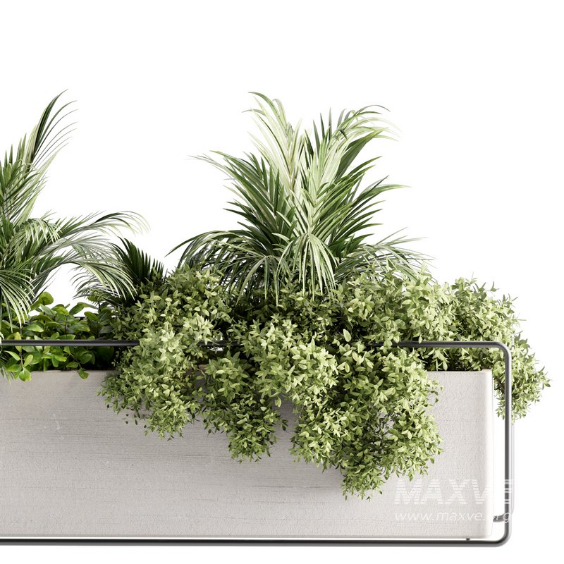 Indoorplants-set140 - Image 3