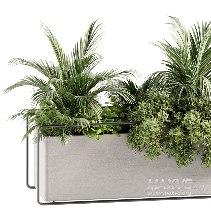 Indoorplants-set140 - Image 5