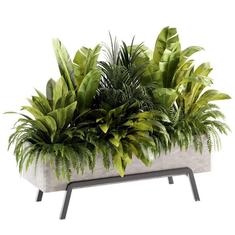 Indoorplants-set141 - Image 3