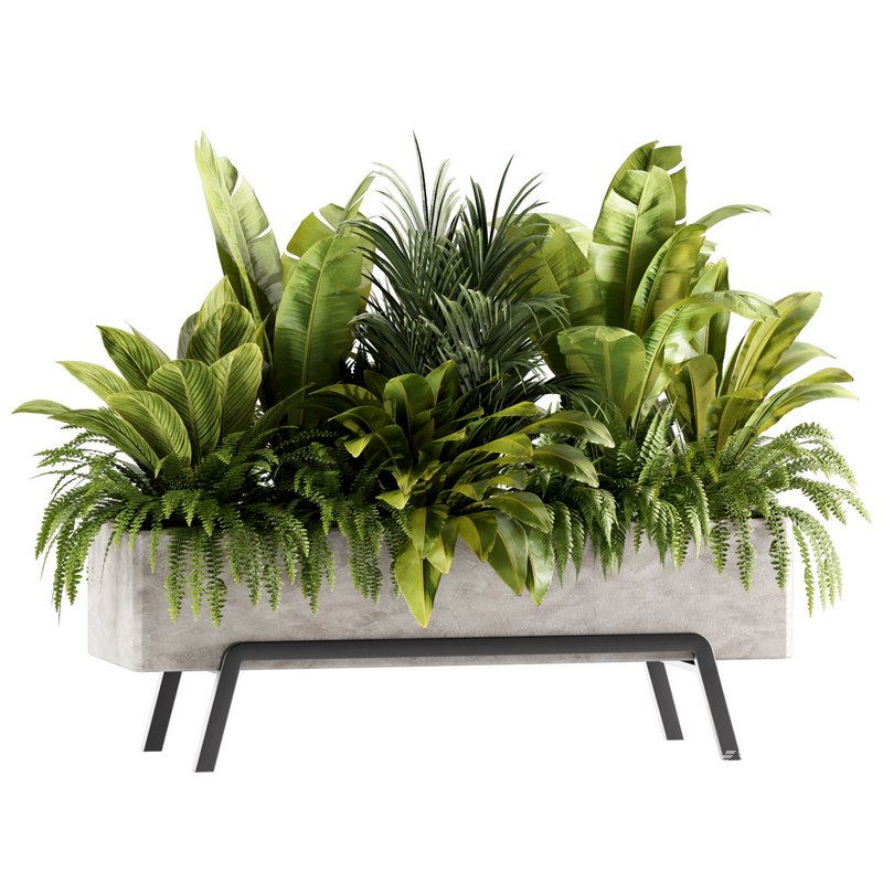 Indoorplants-set141 - Image 1