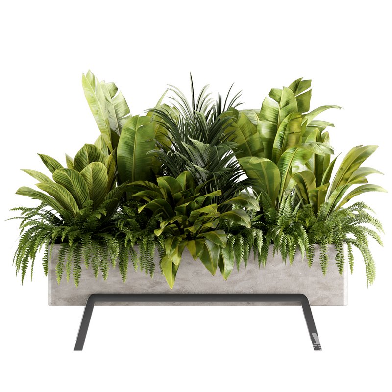 Indoorplants-set141 - Image 2