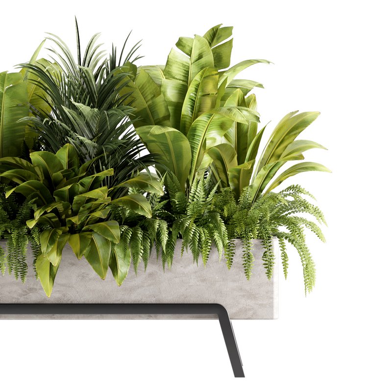 Indoorplants-set141 - Image 4