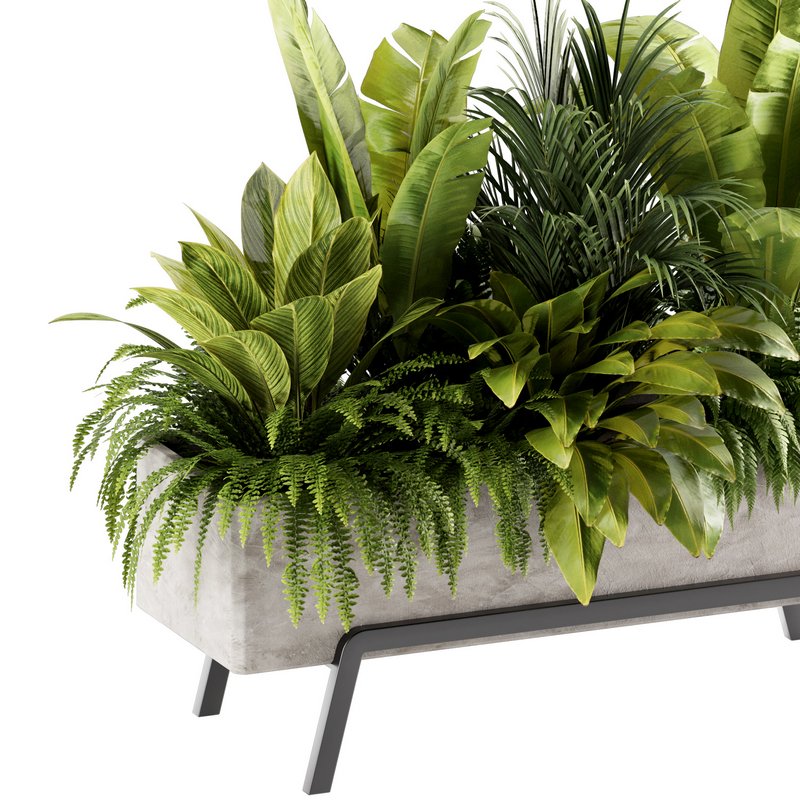 Indoorplants-set141 - Image 5