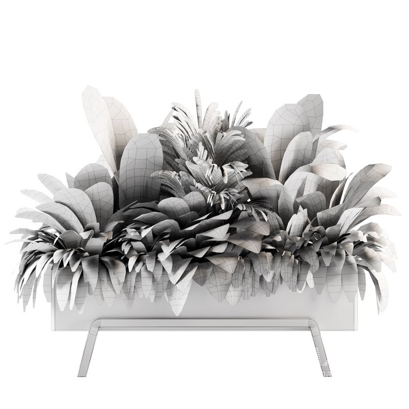 Indoorplants-set141 - Image 6