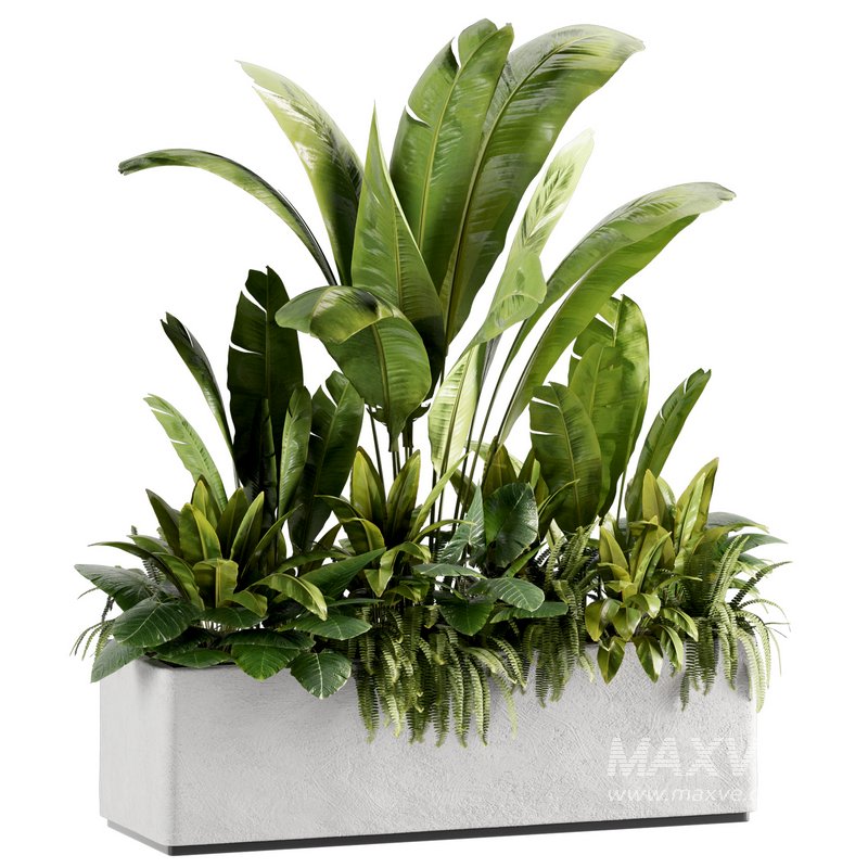 IndoorPlants set142 - Image 2