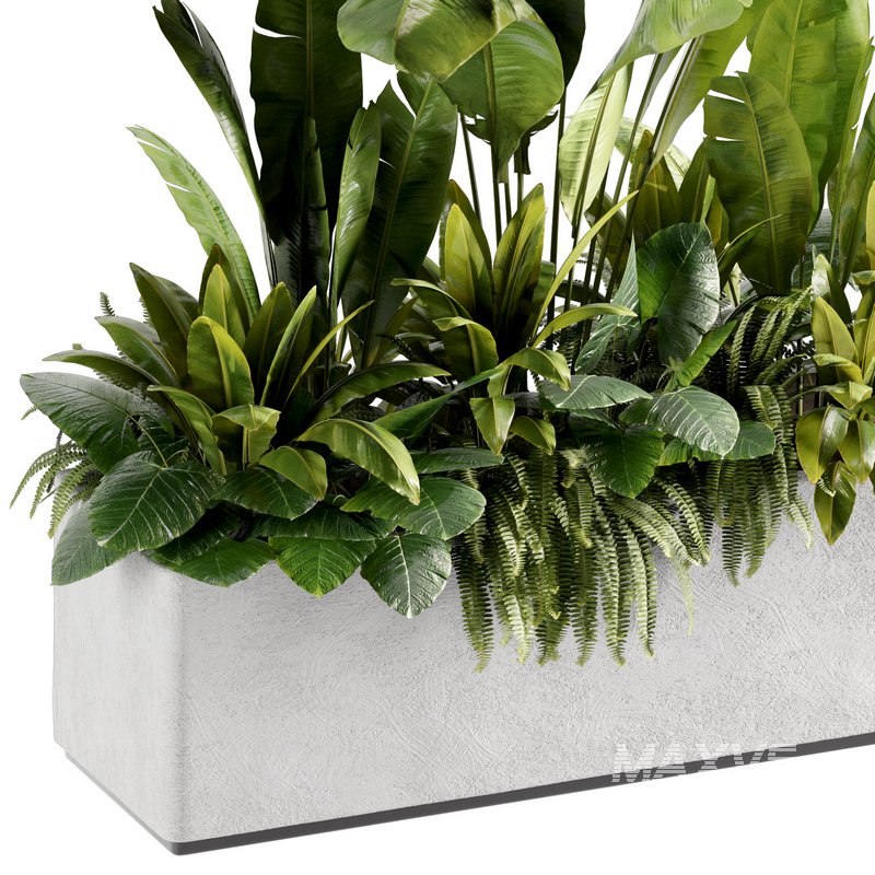 IndoorPlants set142 - Image 1