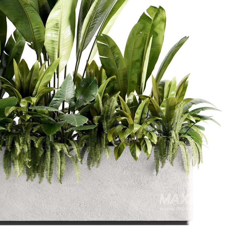 IndoorPlants set142 - Image 4