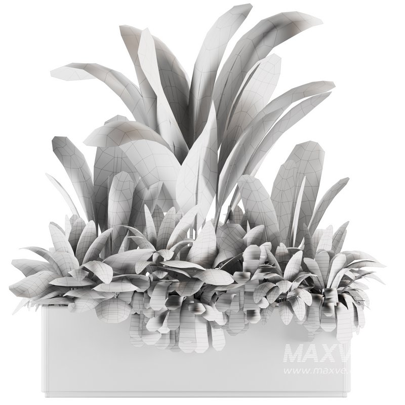 IndoorPlants set142 - Image 6