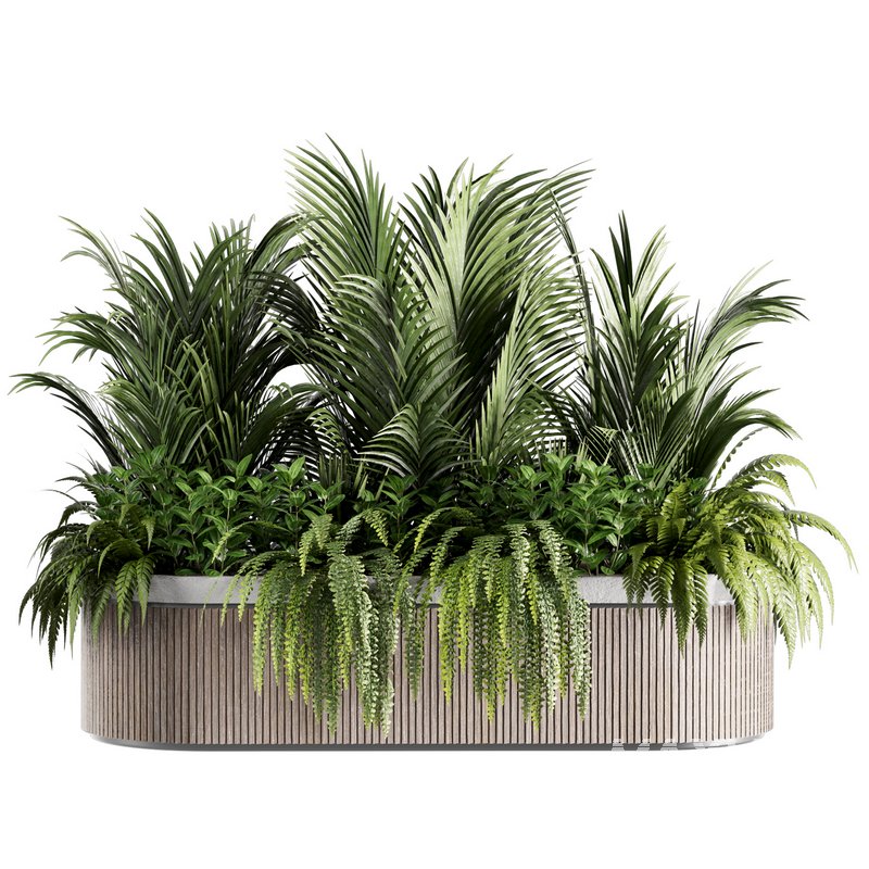 IndoorPlants set143 - Image 1