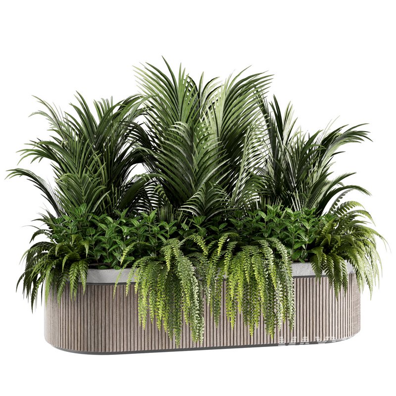 IndoorPlants set143 - Image 2