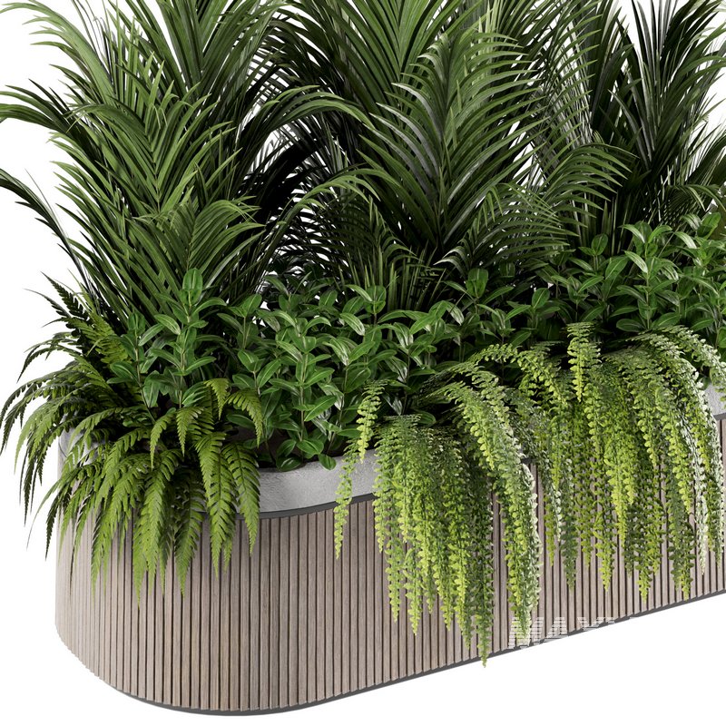 IndoorPlants set143 - Image 3