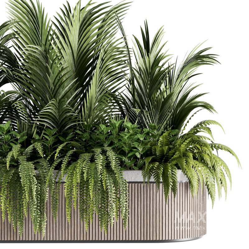 IndoorPlants set143 - Image 5