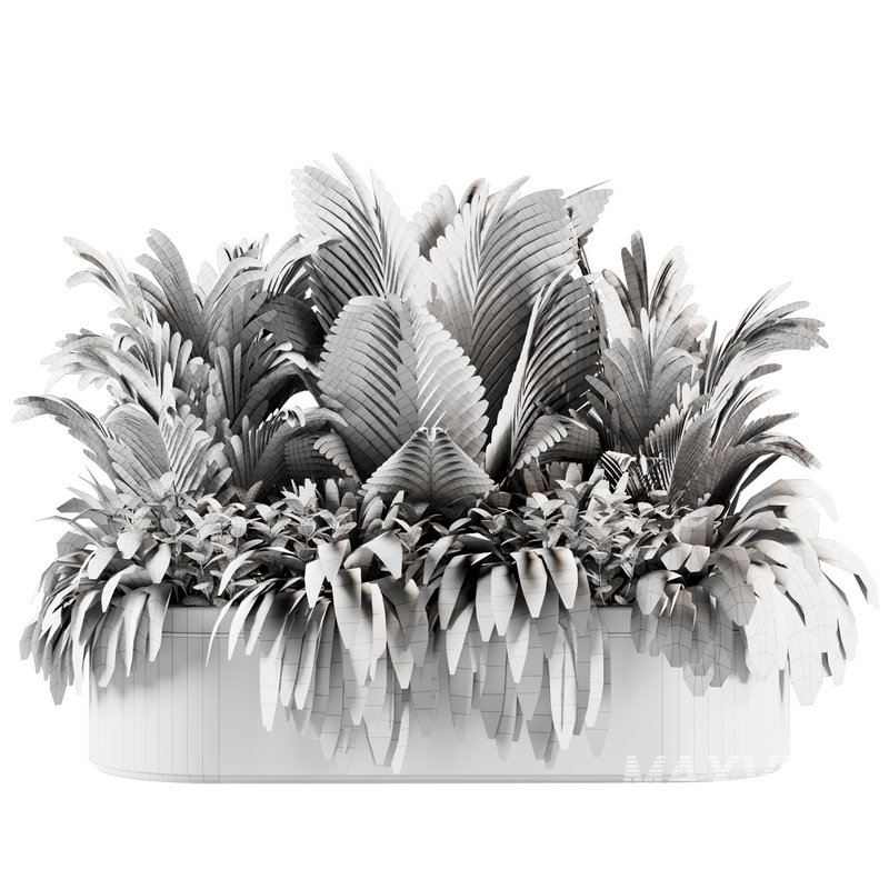 IndoorPlants set143 - Image 4