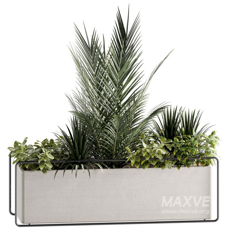 Indoorplants-set144 - Image 3