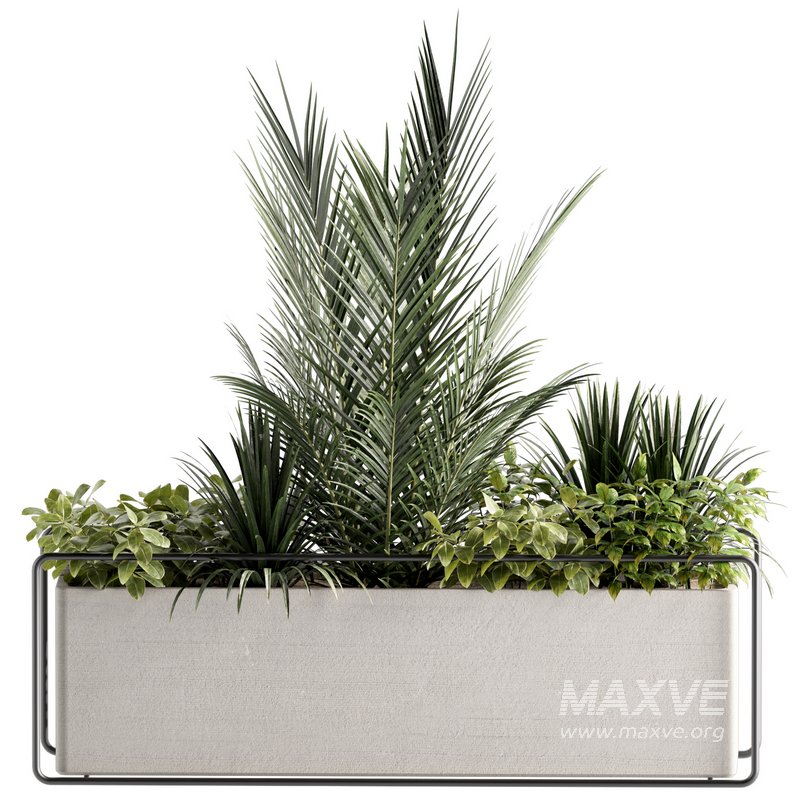 Indoorplants-set144 - Image 1