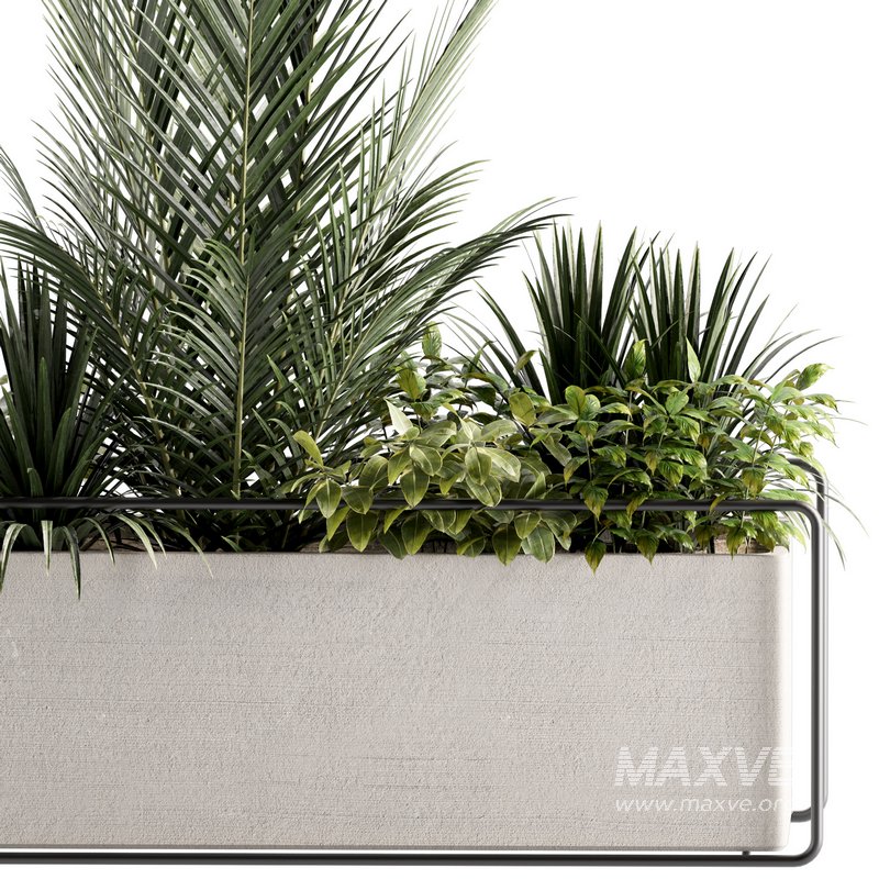 Indoorplants-set144 - Image 2