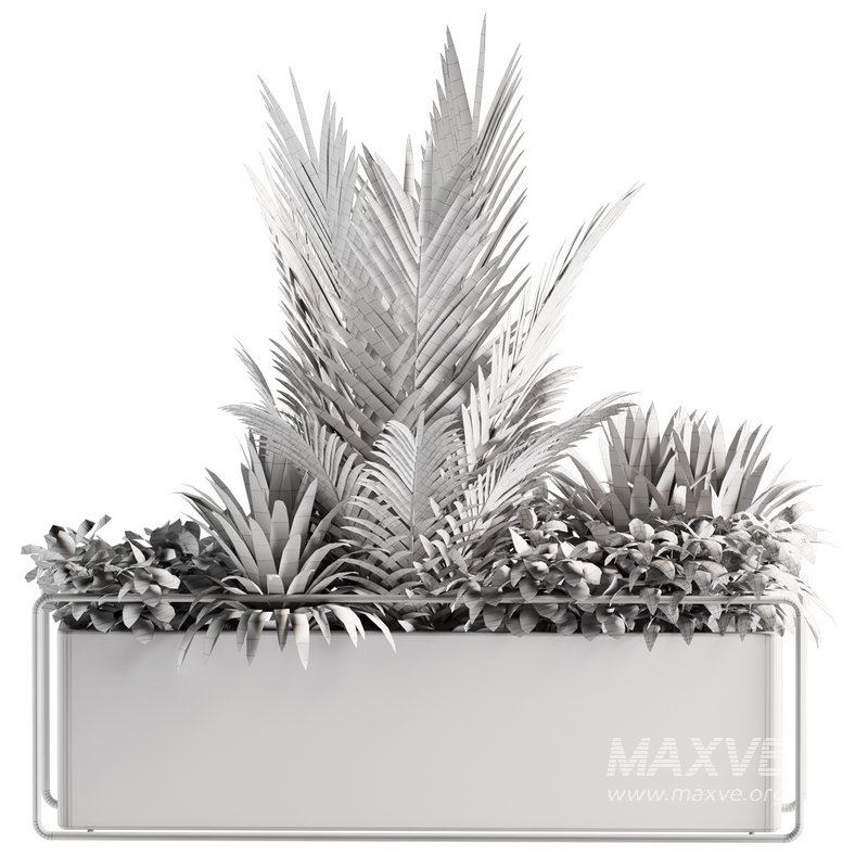 Indoorplants-set144 - Image 4