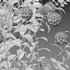 Lantana camara – Shrub Verbena - Thumbnail 5