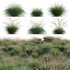 Muhlenbergia rigens – Deer Grass - Thumbnail 1