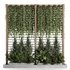 OutDoor Plant-Vertical Garden-Set-29 - Thumbnail 2
