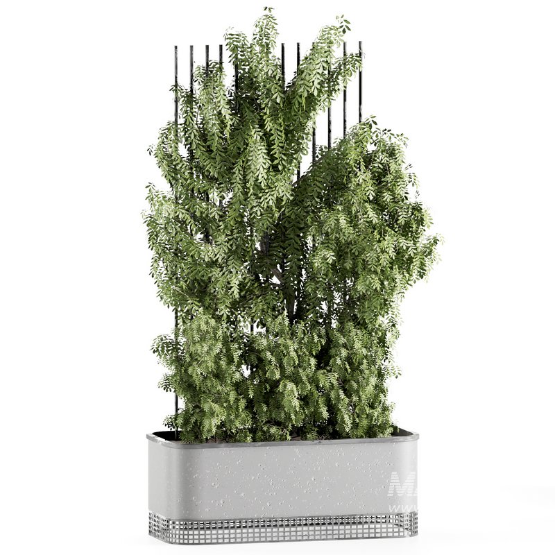 OutdoorPlants-set31 - Image 3