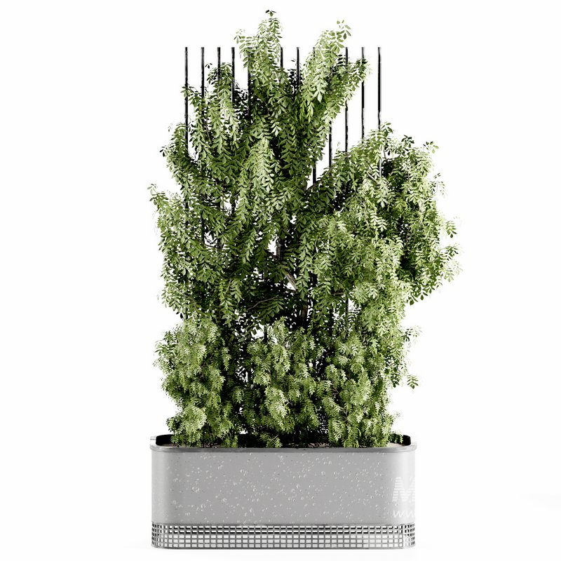 OutdoorPlants-set31 - Image 1