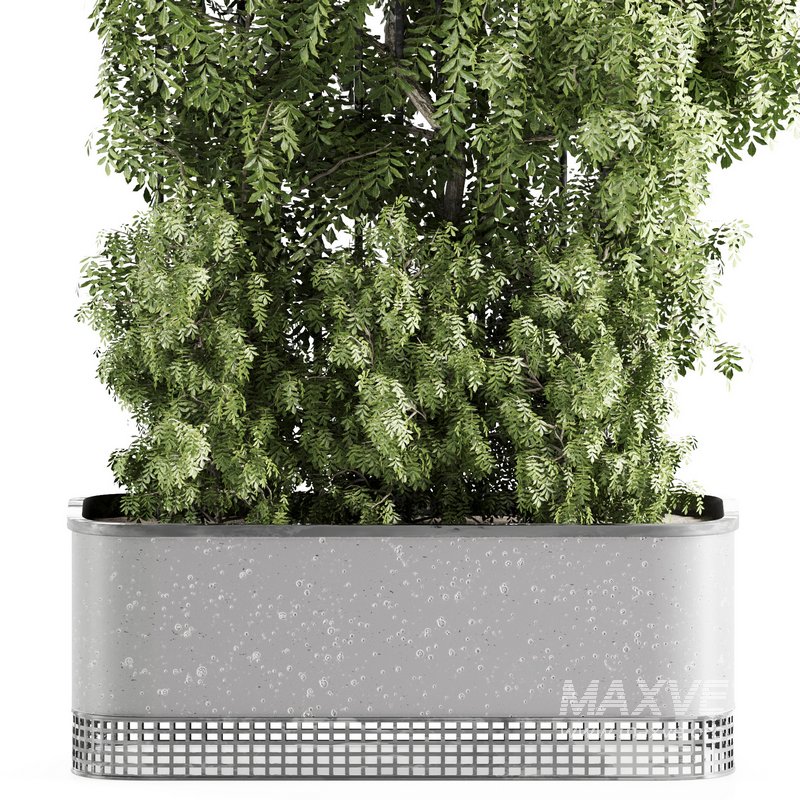 OutdoorPlants-set31 - Image 2