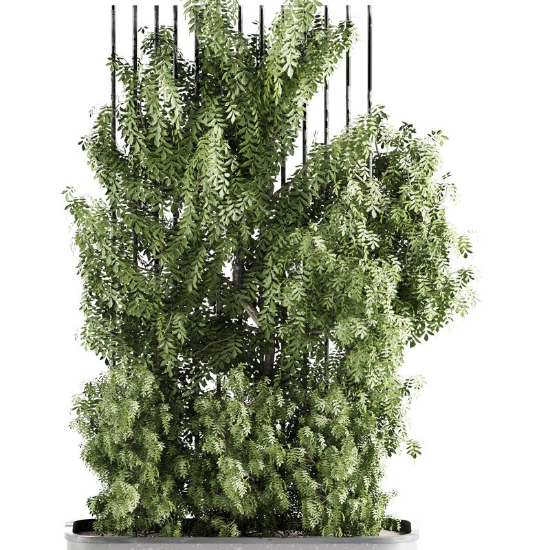 OutdoorPlants-set31 - Image 4