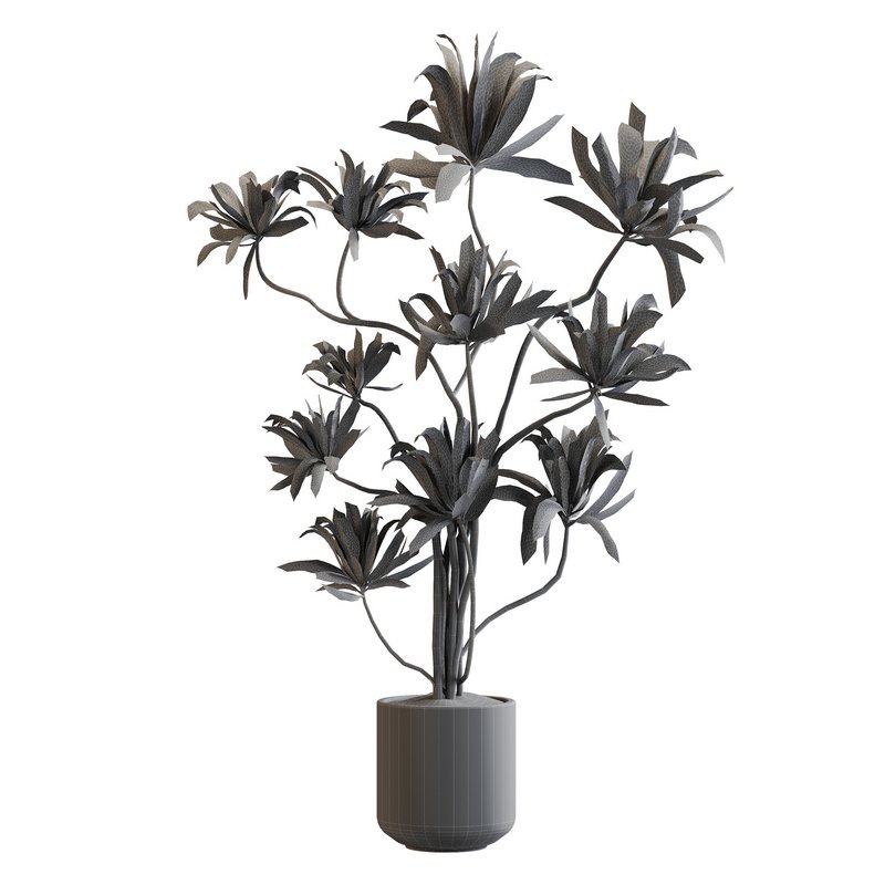 IndoorPlantSet03 - Image 2