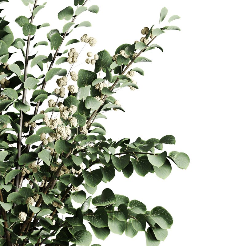 Bouquet set R1 - Image 2