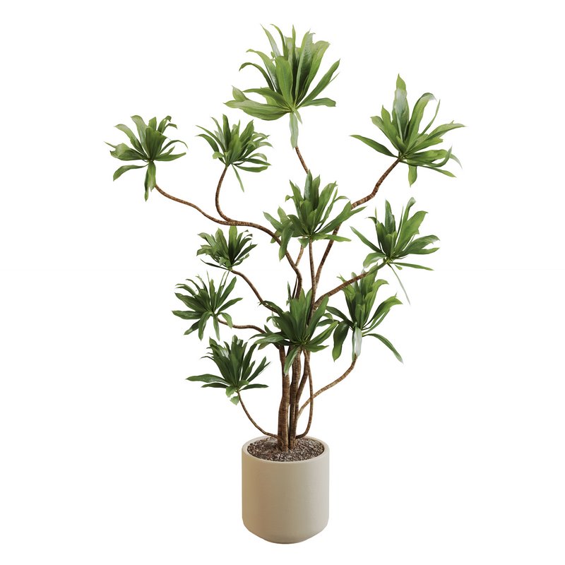 IndoorPlantSet03 - Image 1
