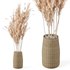 Pampas Decoration with Natural basket - Thumbnail 1