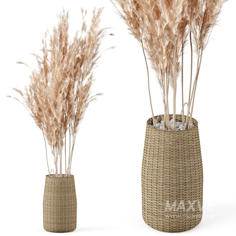 Pampas Decoration with Natural basket - Image 1