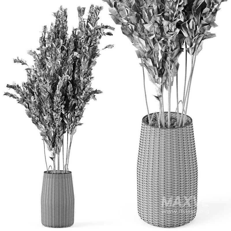Pampas Decoration with Natural basket - Image 5
